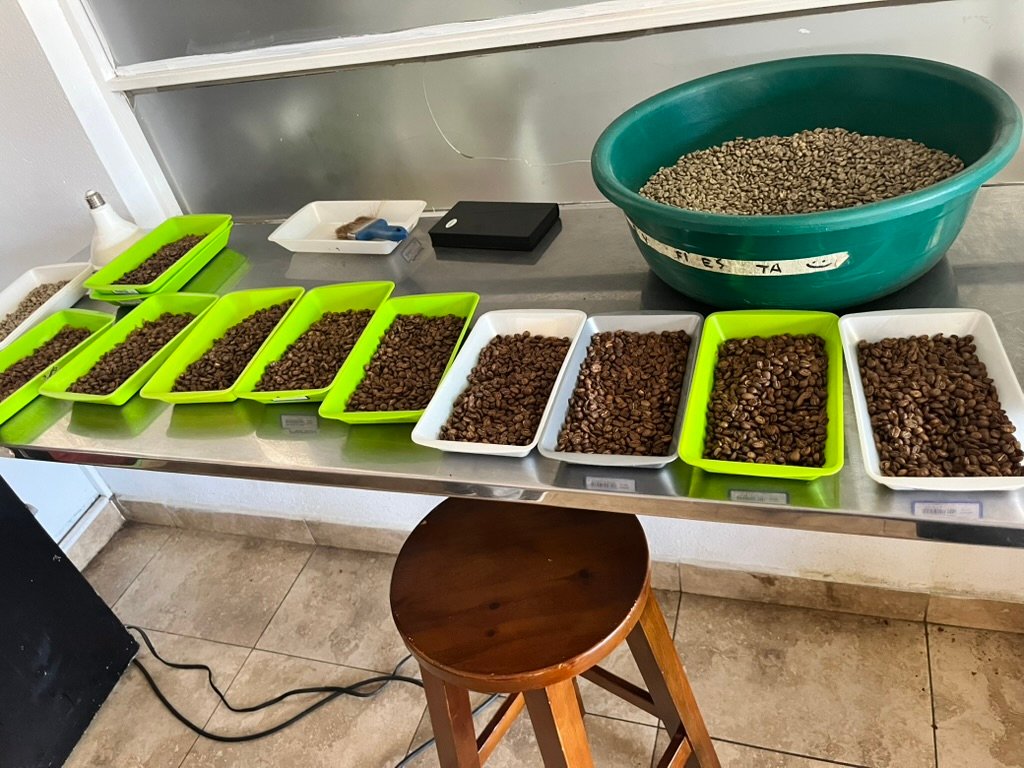 Coffee processing and quality control