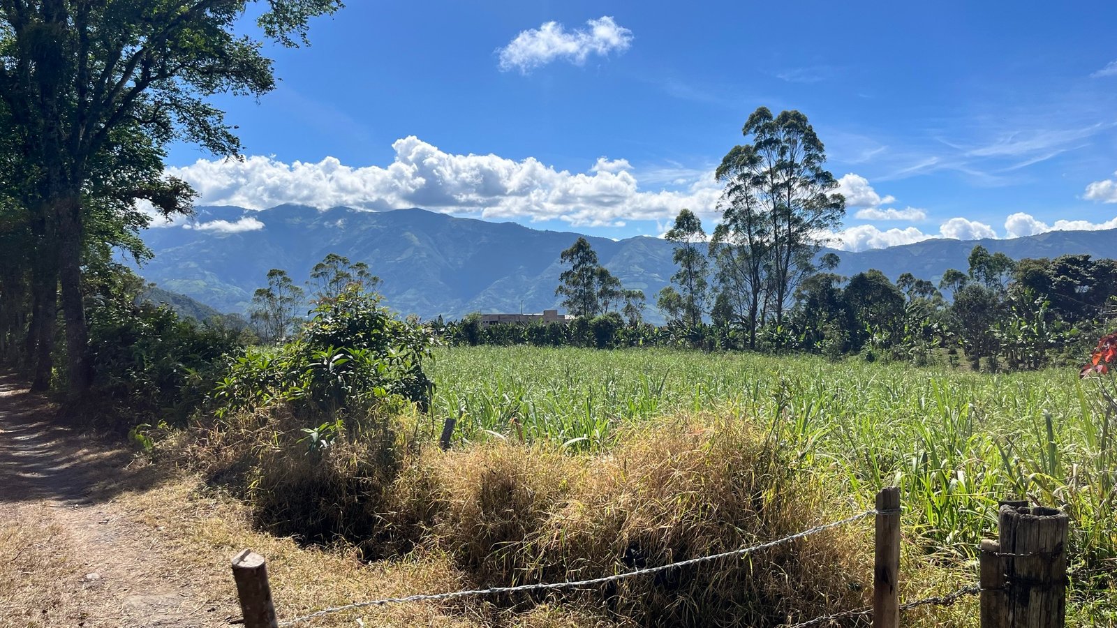 Farm